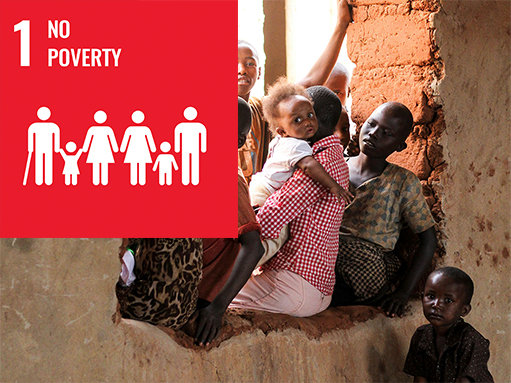 sdg goal, no poverty