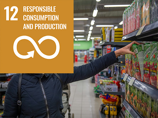 sdg goal, responsible consumption and production