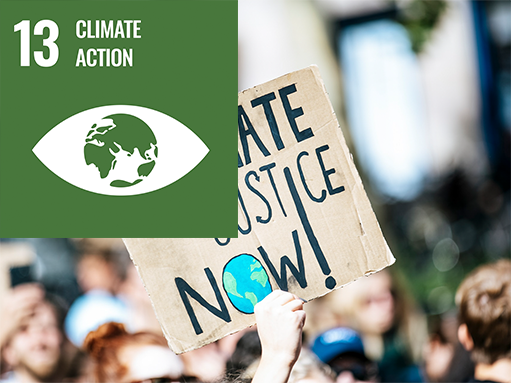sdg goal, climate action