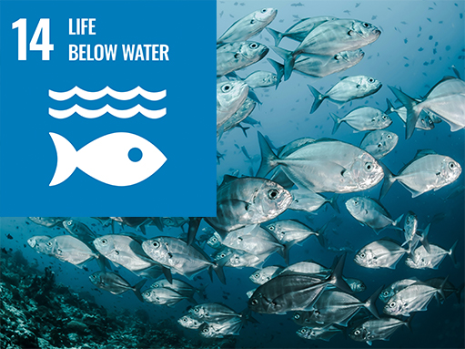 sdg goal, life below water