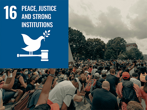 sdg goal, peace justice and strong institution