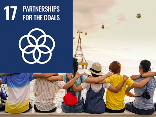sdg goal, partnerships for the goals