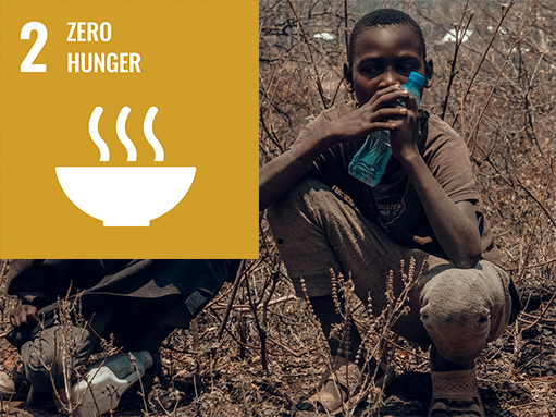 sdg goal, zero hunger