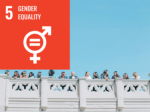 sdg goal, gender equality