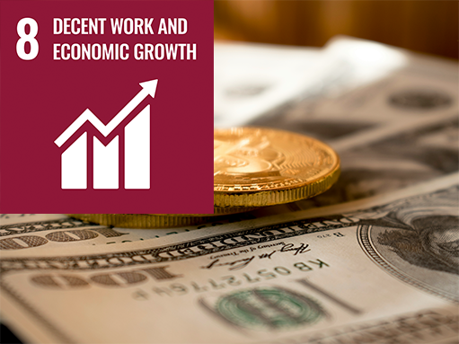 sdg goal, decent work and economic growth