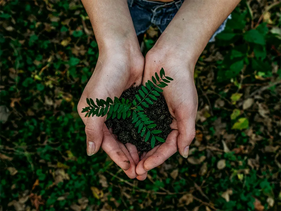 Benefits of Achieving ESG Goals