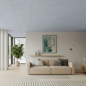 PET ceiling 1